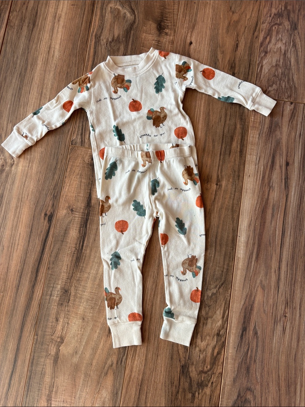 Carters Thanksgiving Pajamas 18M